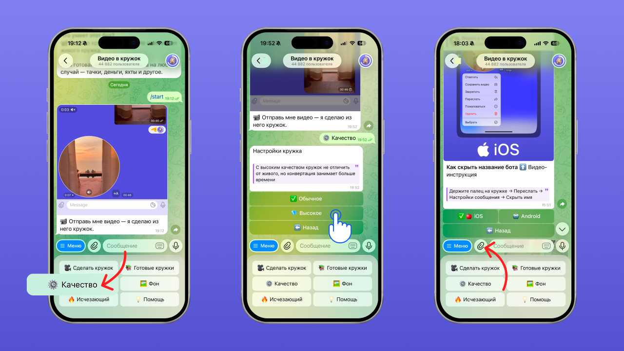 Как выбрать высокое качество кружка в боте Видео в кружок на iPhone