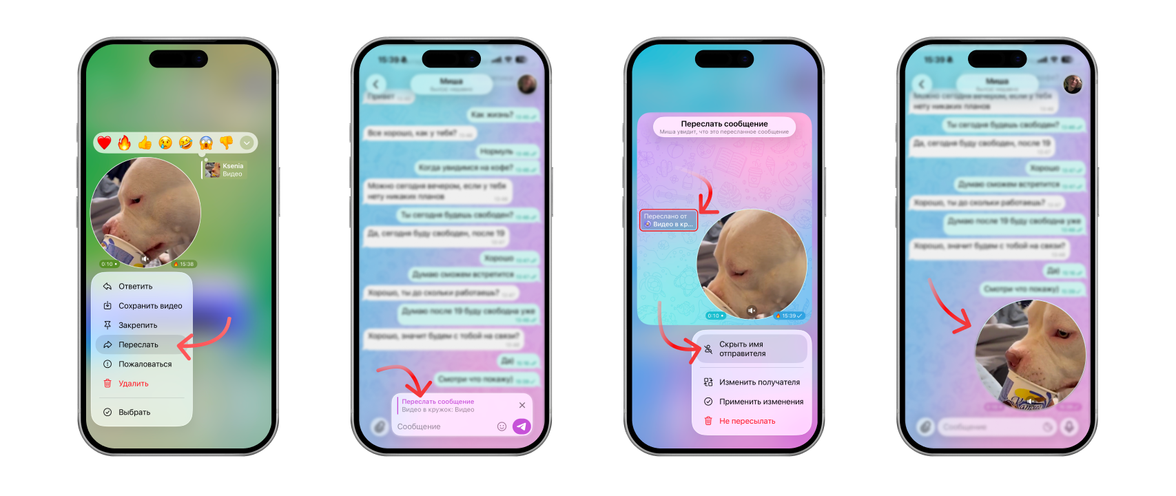 How to forward a video message on Telegram without the Forwarded label